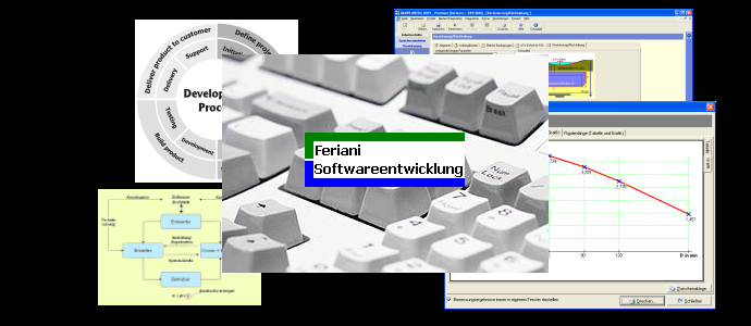 Feriani Softwareentwicklung, RAINPLANER, IT-Dienstleistungen.